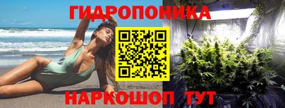 стафф Будённовск