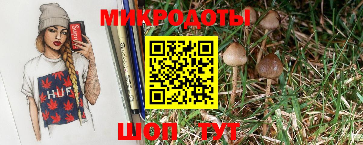 Галлюциногенные грибы Psilocybe Владимир