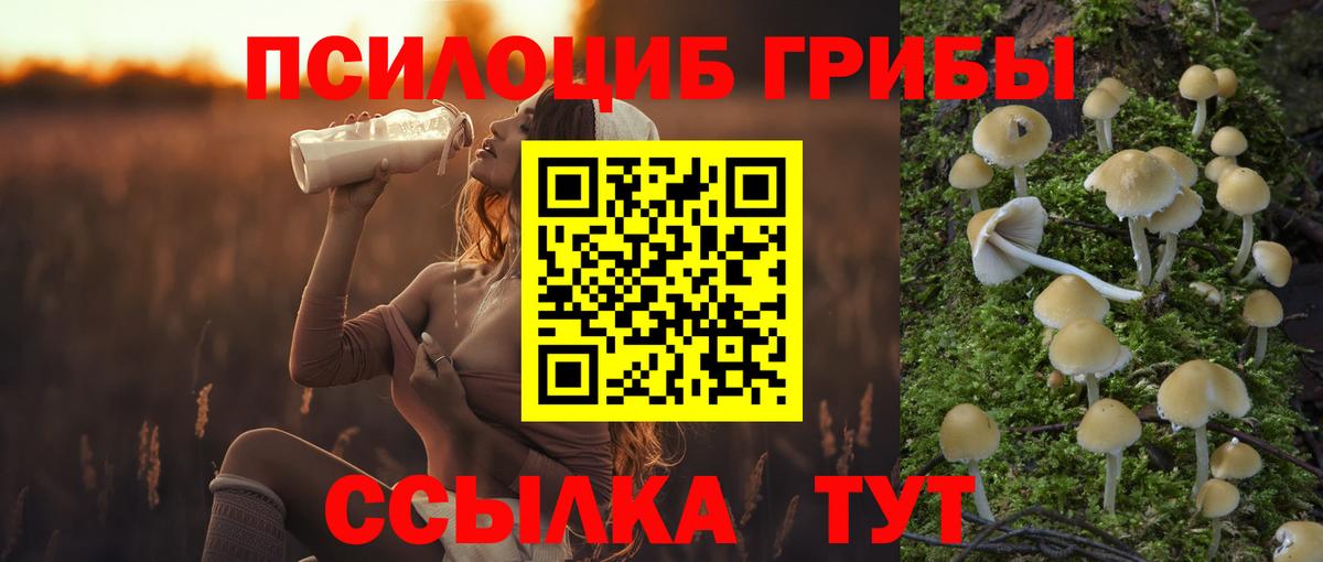 Псилоцибиновые грибы GOLDEN TEACHER  Вход с VPN  Владимир 